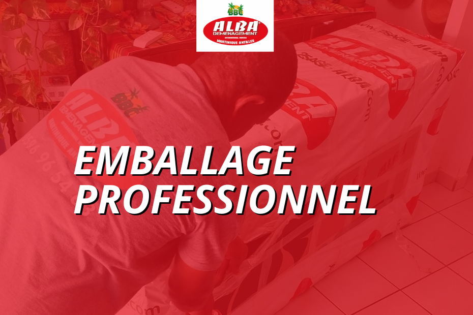 Emballage professionnel