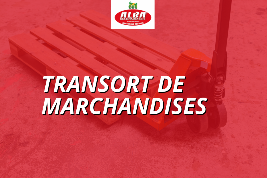 Transport de marchandises